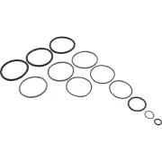 O-Ring Kit, Zodiac Jandy CL/CV/DEV