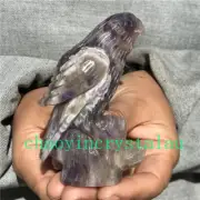 0.3LB Natural Dreamy Amethyst parrot Skull Quartz Crystal Carved Reiki XK1423