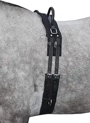 HKM 12701 Lunging Belt Canvas Fixed Double Handle Lunging Supplies Black Pony
