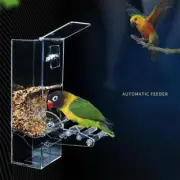No Mess Bird Pet Automatic Feeder Splash-Proof Bird Cage Food For Parakeet