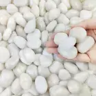 2Lbs Small White Pebbles for Plants, 0.8-1.2 Inch Decorative White River Rocks f