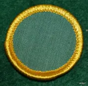 GIRL SCOUT CADETTE BADGE - PLASTIC BACK - BLANK - FREE SHIPPING