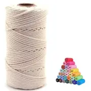 3mm x 109 Yards Natural Macrame Cotton Cord for Plant Dreamcatcher, Beige