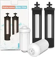 Water Filter Replacement for Berkey, Fluoride Arsenic Reduction Filtration with Ultrafiltration Membrane, Compatible with Berkey Gravity-Fed Water Filter System