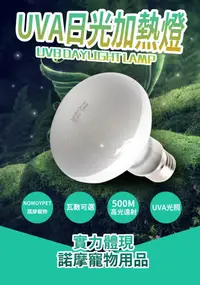 在飛比找松果購物優惠-台灣現貨 台灣電壓 UVA日間保暖射燈 加熱 電燈泡 爬蟲 