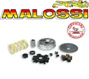 PIAGGIO BOSS 50 VARIATOR MULTIVAR MALOSSI 513863