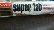 Wooster Professional 14" Super/Fab 1/2" Nap Roller Cover R240-14