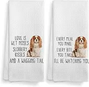 NOQL Cavalier King Charles Spaniel Towel, Dog Kitchen Towels, Cavalier King Charles Spaniel Dog Kitchen Towels and Dishcloths Set of 2, Cavalier King Charles Spaniel Gifts, Dog Decor, 16×24 Inches