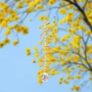 Wind Chimes Crystal Suncatchers Window Hanging Sun Catchers Rainbows Pendant
