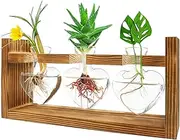 Plant Terrarium with Wooden Stand, Plant Propagation Stations with Heart Vase, Kawaii Plant Terrarium, Women Plant Lover Gift, for Hydroponics Home Garden Office Decoration
