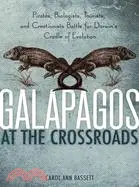 在飛比找三民網路書店優惠-Galapagos at the Crossroads ─ 