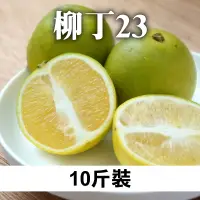 在飛比找台灣好農優惠-好吃果日子 柳丁中大顆 10斤