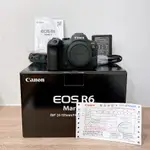 ( 保固內快門少於9000 ) CANON EOS R6 MARK II 高畫質 全片幅 CMOS 保固半年