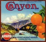 Sierra Madre Canyon Orange Citrus Crate Label Art Print