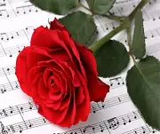 MUSIC NOTES SHEET MUSIC RED ROSE HOME DECOR COMPUTER MOUSE PAD 9 X 7