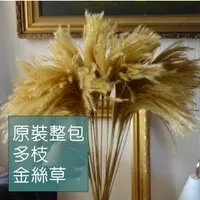 在飛比找蝦皮購物優惠-My Wonderful 原裝整包【乾燥芒草／芒草／金絲草／