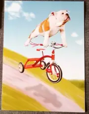 "Bulldog On A Trike", (1) Leanin Tree Get Well Card, New With (1) Envelope
