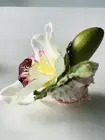 Cymbidium Bloom Orchid In Murex/Home/Table Decoration New