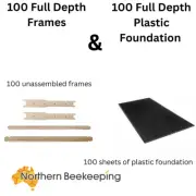 100 x PREMIUM FULL DEPTH BEEHIVE PLASTIC FOUNDATION SHEET + 100 FRAMES BEE HIVE