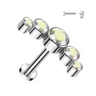 Piercing Ear Labret Titanium Curved Five Rhinestone Aurore Borealis