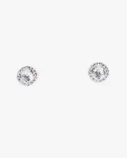 Silver Cubic Zirconia Round Framed Stud Earrings