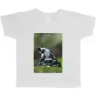 'Poison Dart Frog' Children's / Kid's Cotton T-Shirts (TS117972)