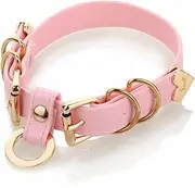 [ADEMISHIA] Handmade Punk Gold O-Ring Leather Choker Necklaces With Buckle Fastening Adjustable Collar For Womens
