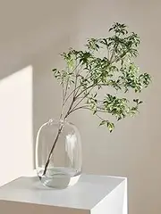 GeLive Glass Vase for Centerpiece, Clear Vase, Round Flower Vase, Coffee Table Vase, Long Vase for Stem Branch Artificial Plant Home Indoor Decoration (Transparent)