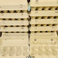 在飛比找蝦皮購物優惠-單入紙蛋盒10粒入(台灣製造)－#蛋盒#雞蛋盒#紙蛋盒#10
