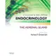 Endocrinology Adult and Pediatric: The Adrenal Gland