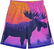 [WOIWB] Boys' Shorts with Pockets-Vivid Moose Sun, Kid's Athletic Shorts for Sport Home 7-8T