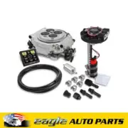 Holley Sniper EFI Self-Tuning Kit Handheld EFI Monitor & Fuel Pump # HO550-510D