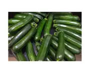 Boondie Seeds ZUCCHINI 'Black Beauty' *Organic* seeds