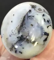 38g Polished Dendritic Agate palmstone Collector Piece Eye Chalcedony Aquatic