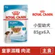 【法國皇家 Royal Canin】SHNW 皇家小型幼犬濕糧MNPW 85克(6入) (狗主食餐包)