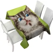 Cats Cute and Funny Faces the Flinching Kitten Tablecloth