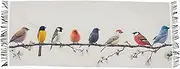 [AIXIWAWA] Vintage Birds Women's Pashminas Scarf, Shawls Wrap Lightwight Tassel for Evening Dress Dinner Party, Multicolor