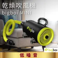 在飛比找蝦皮商城精選優惠-公司原廠貨 bigboi MINI 單馬達乾燥吹風機 吹水機
