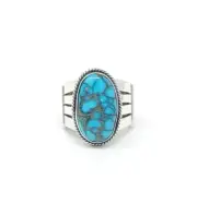 Delayne Reeves Sterling Silver Navajo Split Band Ring Cloud Mountain Turquoise