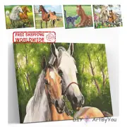 Paint By Numbers Kit Horse Animal Adult Home Canvas Beginner Painting Framed Art