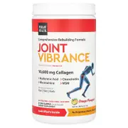 Vibrant Health, Joint Vibrance, Version 5.0, Orange Pineapple, 13.7 oz (388.5 g)
