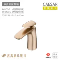 在飛比找蝦皮商城優惠-CAESAR 凱撒衛浴 B810CG BT810CG B81