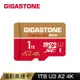 GIGASTONE Camera Pro microSDXC UHS-I U3 A2V30 1TB攝影高速記憶卡