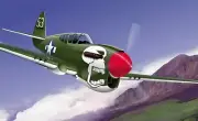 Franklin Mint P-40 Curtiss White Skull WWII 1:100 5395