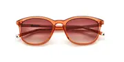 Paradigm 19-42 Sienna Men's Sunglasses Brown Size 55