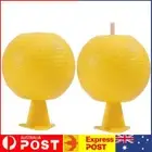 Fruit Fly Traps Sticky Sphere Trap Multifunction for Fruit Fly Hoverfly Gnat AU