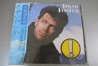 在飛比找Yahoo!奇摩拍賣優惠-CD ~ DAVID FOSTER 大衛佛斯特專輯 ~ 19