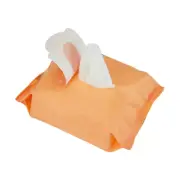 40 Pack Cleansing & Makeup Removal Biodegradable Facial Wipes 5 Different Scent