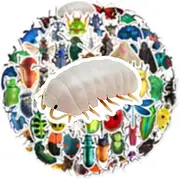 Bug Stickers,50 PCS Insect Graffiti Vinyl Waterproof Decals for Water Bottles Computer Bicycle Skateboard Luggage Phone Pad Laptop Kids Teens Stickers Pack
