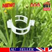 50-200x Garden Ties Tomato trellis Stake Plant Support Clips Veggie GreenhouBP